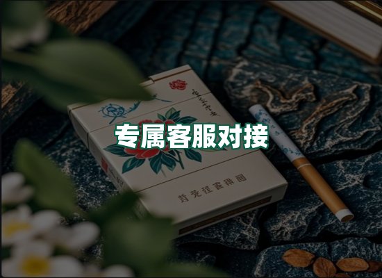 核心优势
